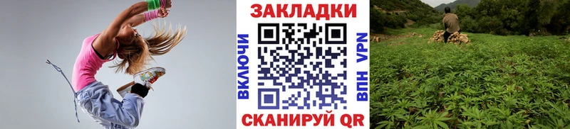 Что такое Калининец Псилоцибиновые грибы  COCAIN  ГАШИШ  Вейп ТГК  Канабис 