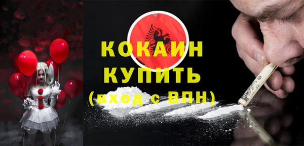 сатива Богданович