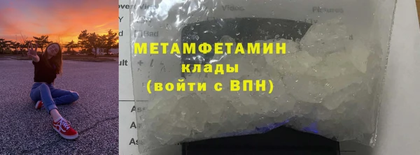 сатива Богданович