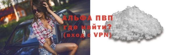 сатива Богданович