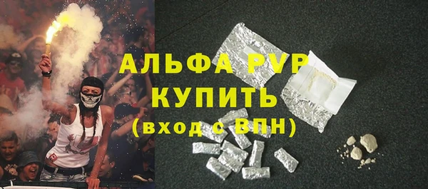 сатива Богданович