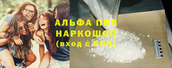 сатива Богданович