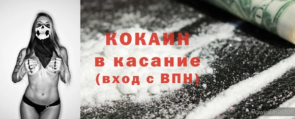 сатива Богданович