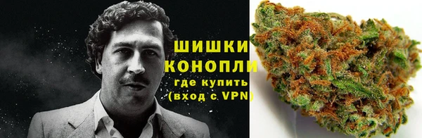 сатива Богданович