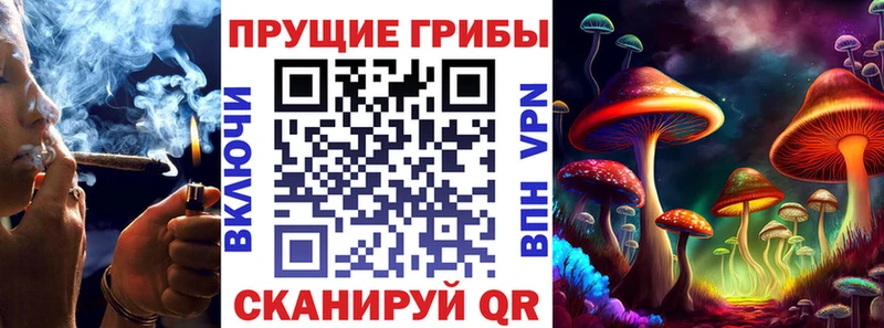 Галлюциногенные грибы Psilocybe  Калининец 